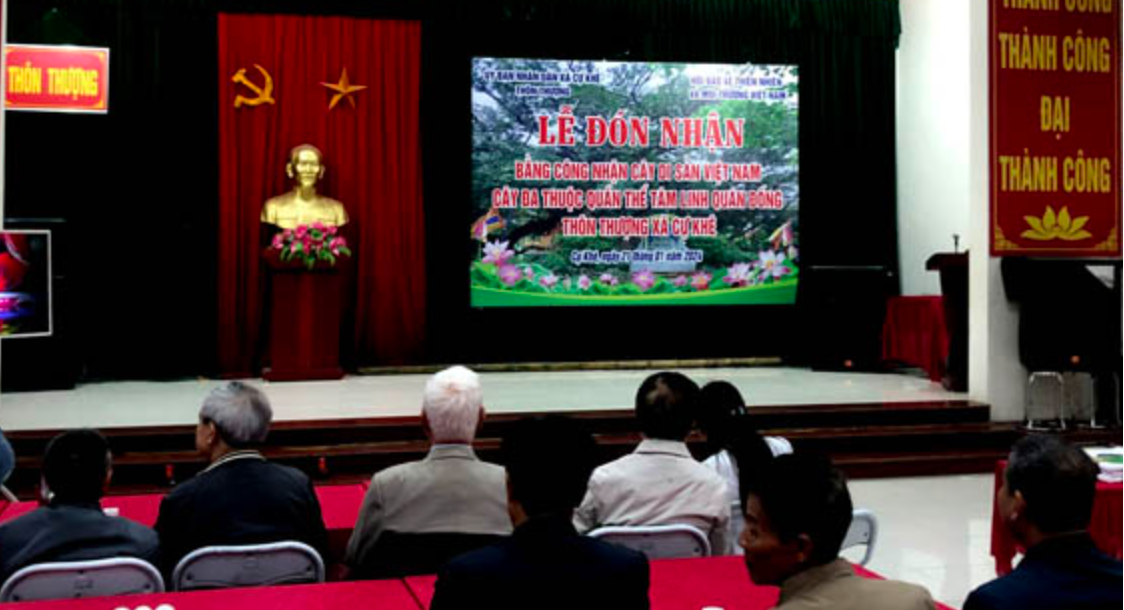 Hai[-]Cây[-]cổ[-]thủ[-]đầu[-]tiên[-]của[-]Hà[-]Nội[-]được[-]vinh[-]danh[-]Cây[-]Di[-]sản[-]Việt[-]Nam[-]đầu[-]năm[-]2024
